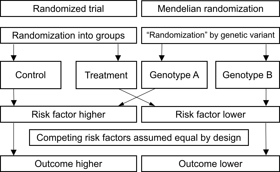 Diagram illustrating analogy between RCT and Mendelian randomization